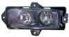 RENAU 5010231850 Fog Light